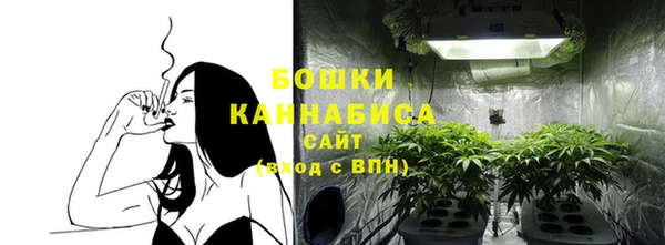 мет Ладушкин