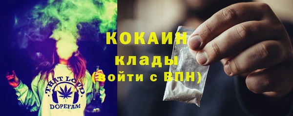мет Ладушкин