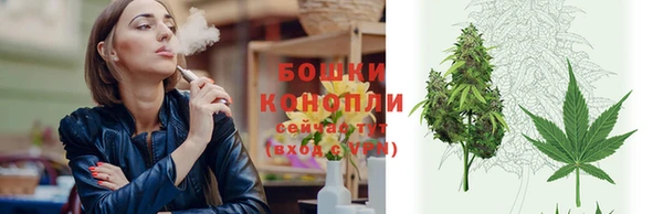 мет Ладушкин