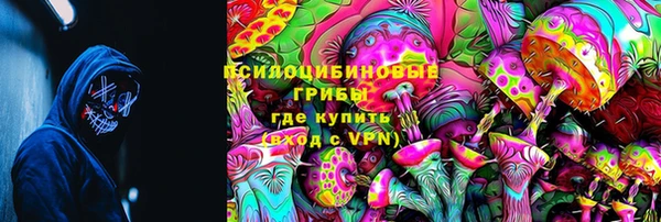 мет Ладушкин
