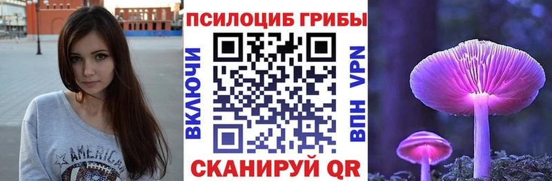 Купить  Хотьково  Галлюциногенные грибы MAGIC MUSHROOMS 